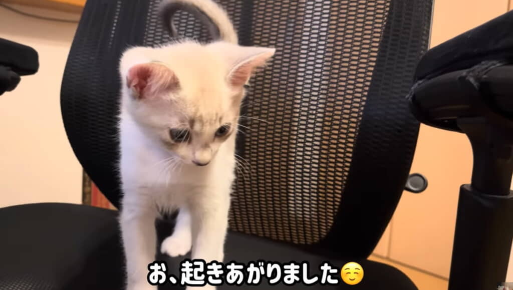 お？　降りてくれるのかな？