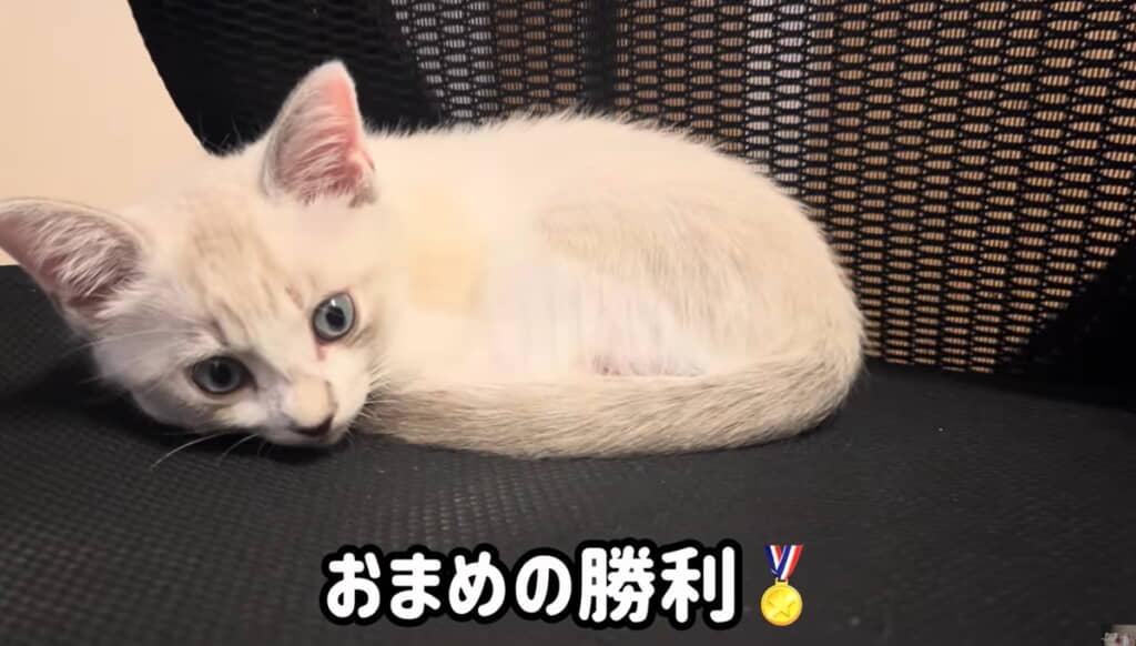 体勢を変えてねんね（パパさん敗北）