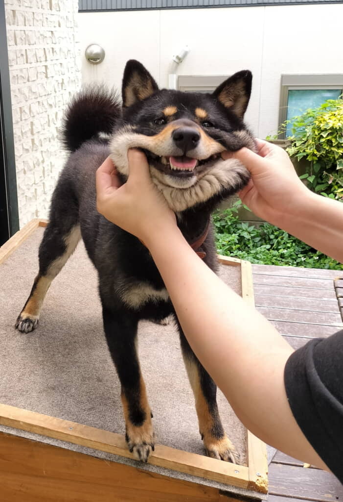 お顔のびのび~