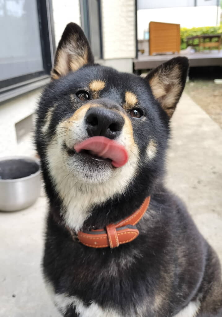 かっこかわいい!