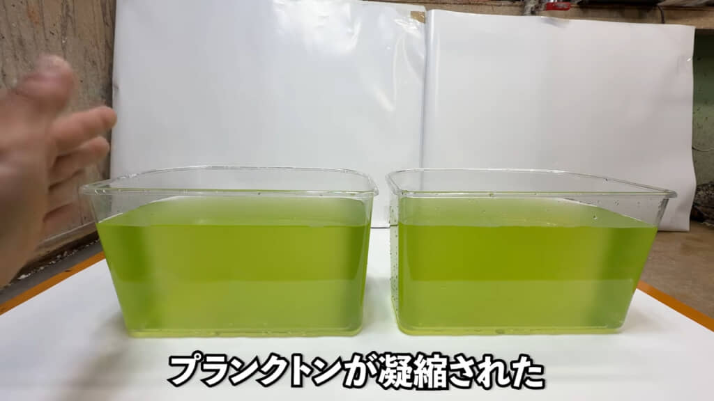 グリーンウォーターに海水を交ぜたもの