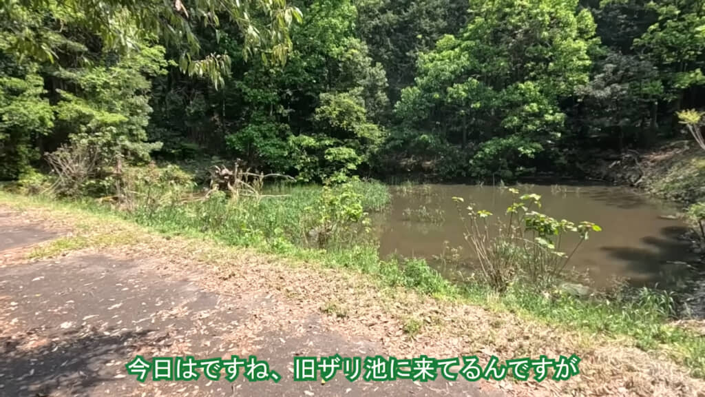 「旧ザリガニ池」へ
