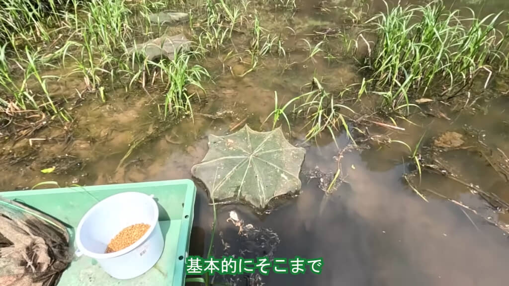 仕掛けてある罠をチェックする