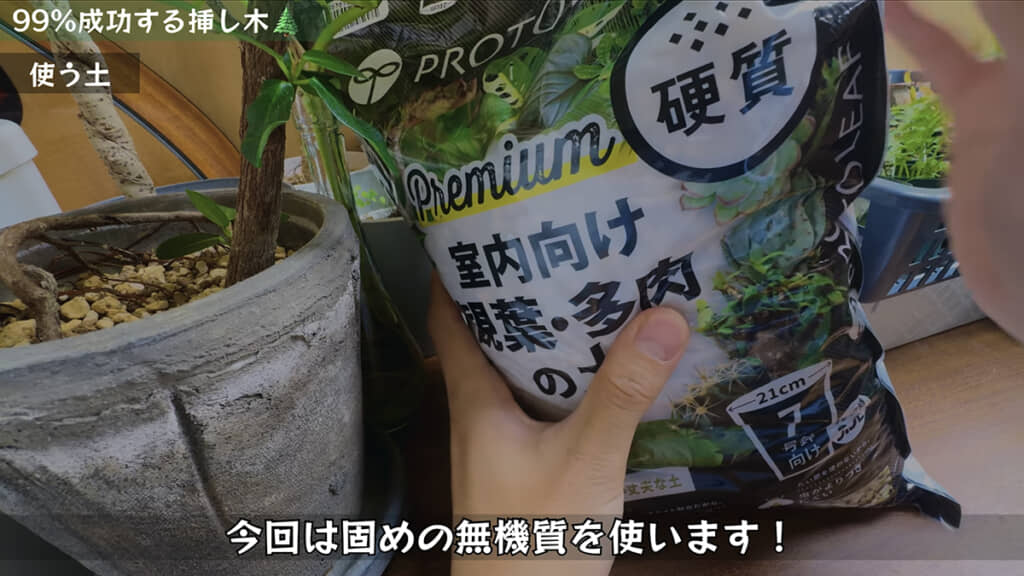 無機質の土をチョイス