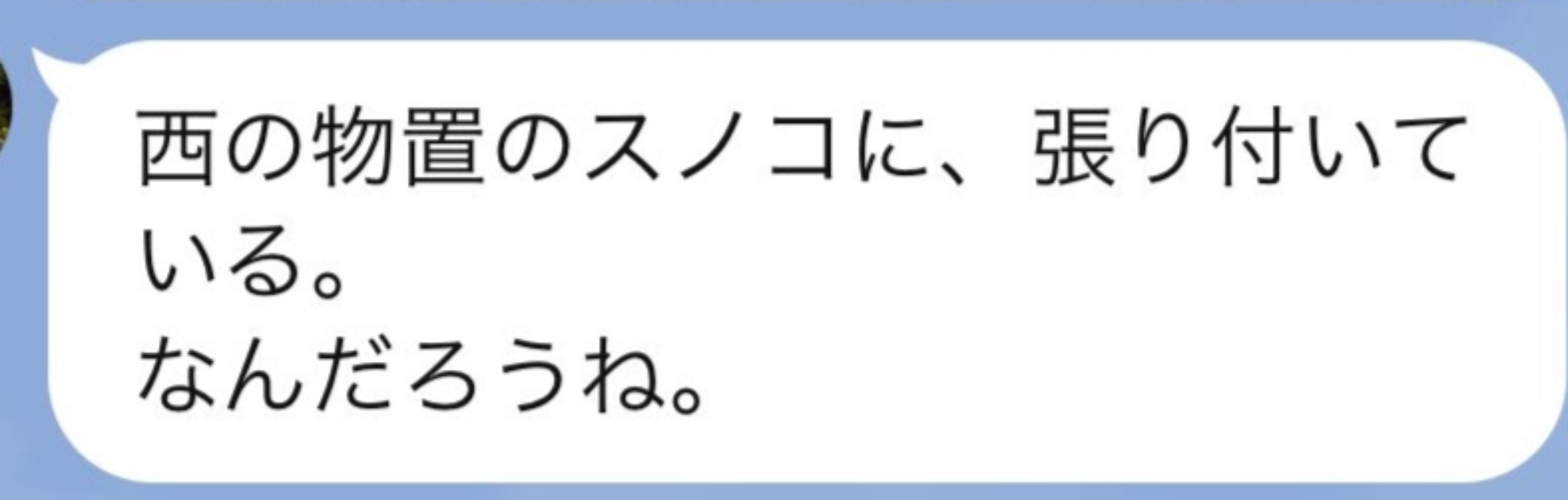 母からLINE→緊急事態かと思い、開くと……　実家にいた“まさかの生き物”が「えぇ、なんこれすごい」「気絶しました」と230万表示（1/2） | その他生き物 ねとらぼ