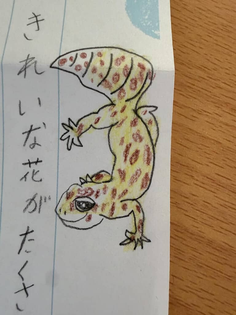 ヒョウモントカゲモドキのようなカラフルなトカゲ。表情がいい