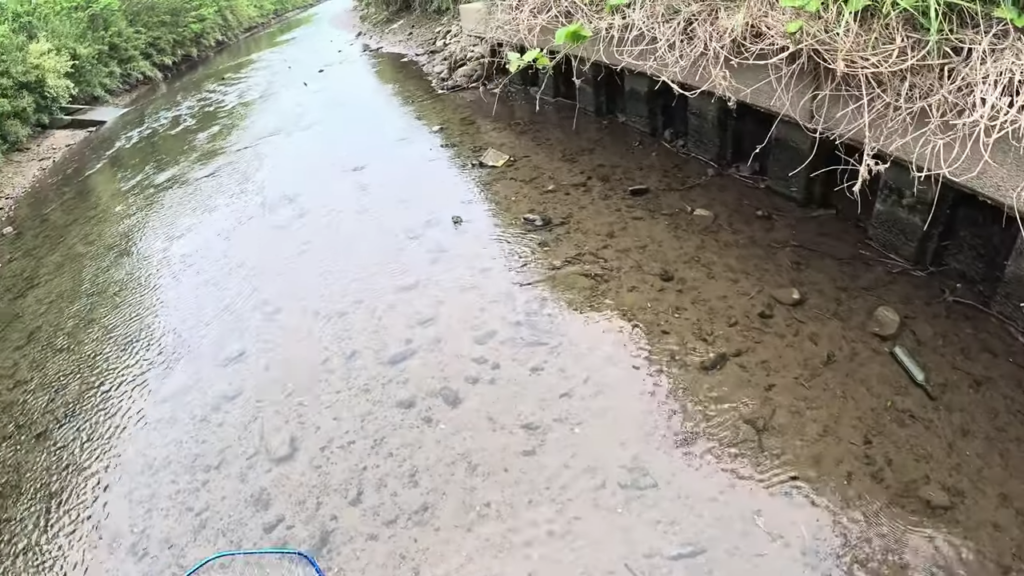 場所を移動し、ワニガメを探します