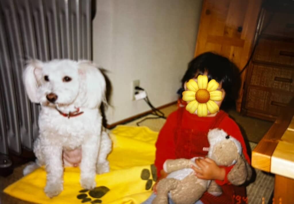 とっても賢い元野良犬