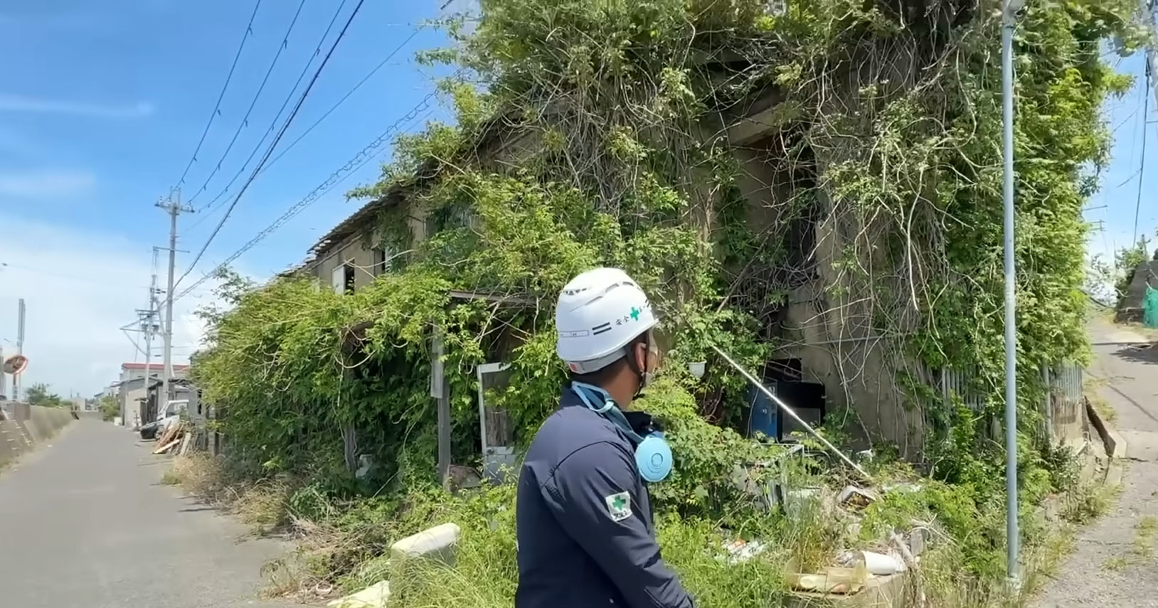 “木が生えた”巨大廃墟→恐る恐る中へ入ると…… 「こんなことあります!?」「怖い」「何が出てくるかわからん」(1/3) | 住まい ねとらぼ