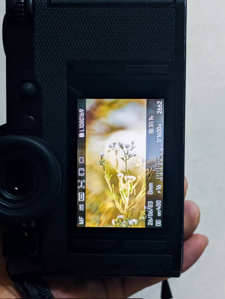 Leicaカメラの背面モニターに表示された野草の写真、撮影データ表示