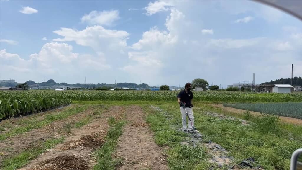 実験のために雑草を刈る投稿者