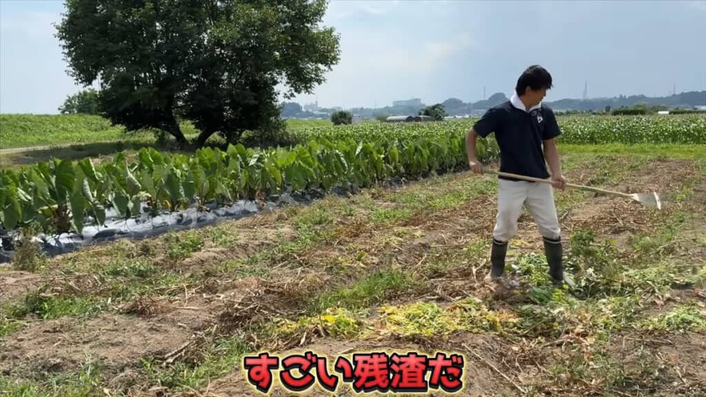 畑に野菜の残渣をまく
