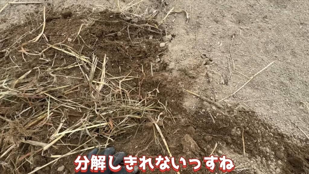 1カ所に集中していたため分解しきれていない植物残渣