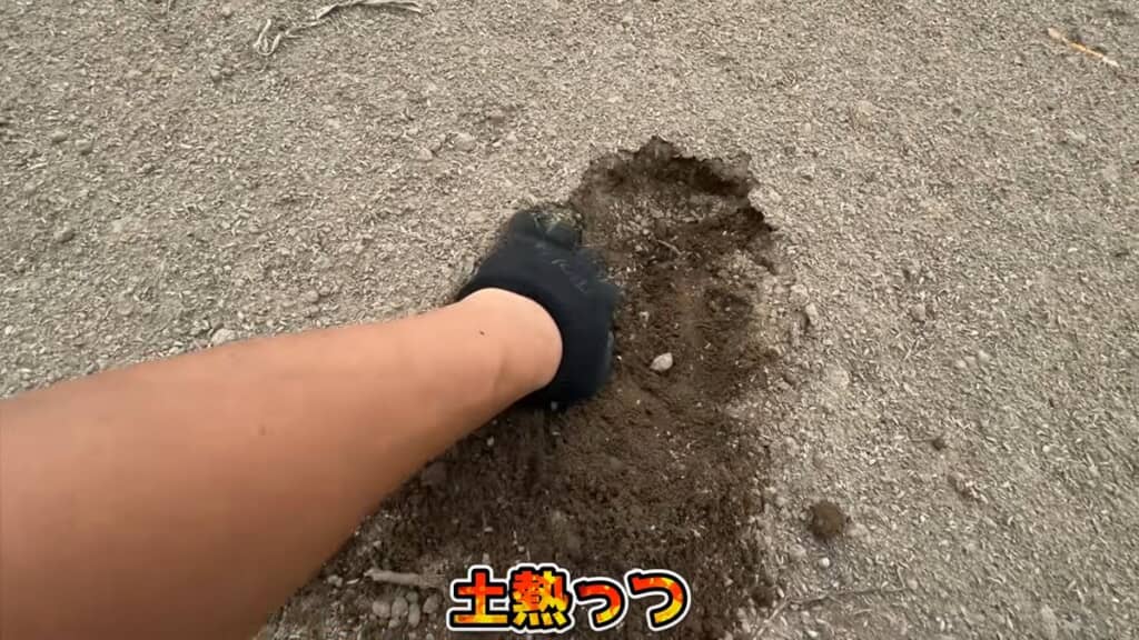 分解熱で熱くなっている畑の土