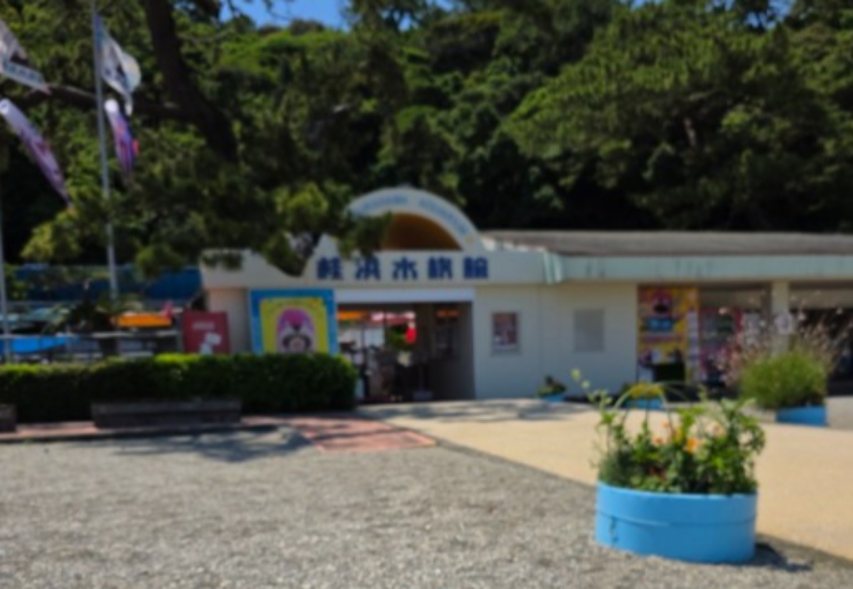 高知の水族館に“さかなクン”から届いた箱→開けてみると……　驚きの中身に「愛が溢れてる」「そりゃ慕われる訳だわ」（1/2） | ライフスタイル ねとらぼ