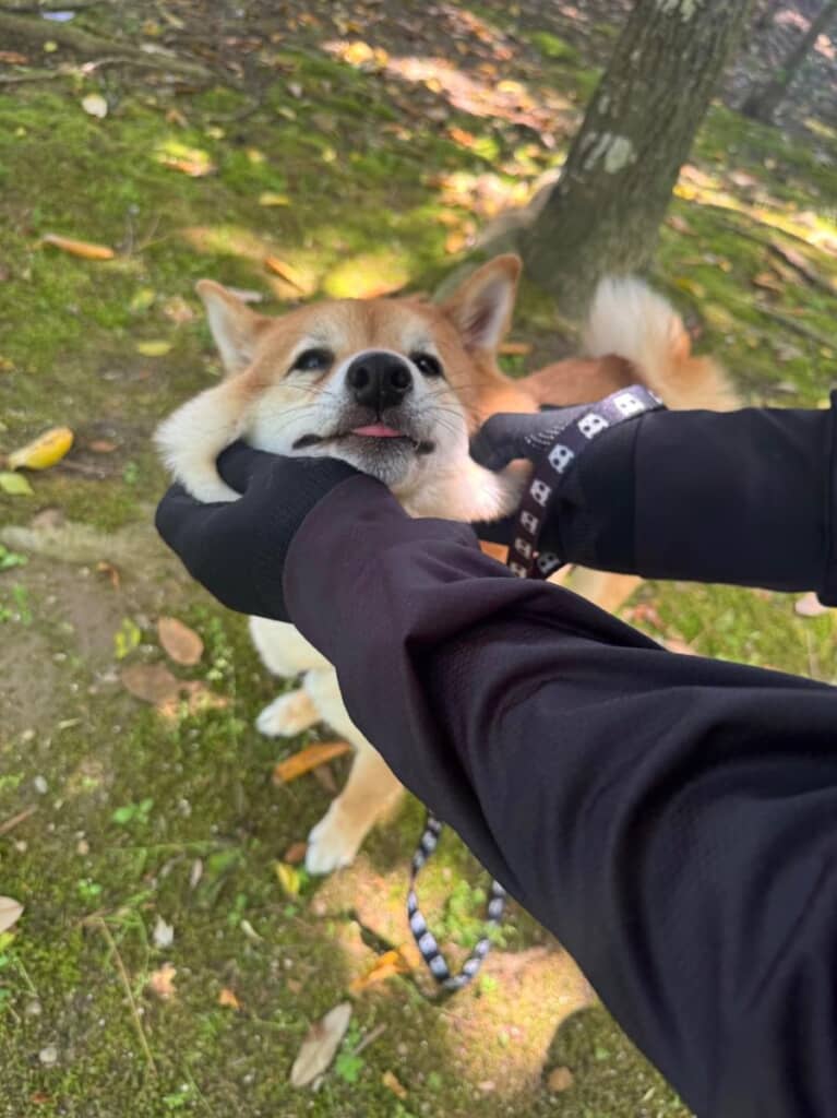 ほっぺたをむにむに