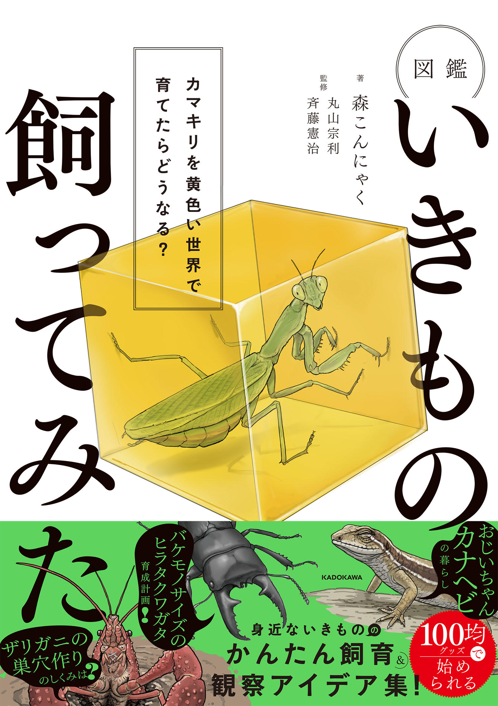 登録者数45万人超の人気生き物系YouTuber・森こんにゃく、初書籍を7月27日に発売 “生き物観察”の魅力がたっぷり(1/3) | 本 ねとらぼ