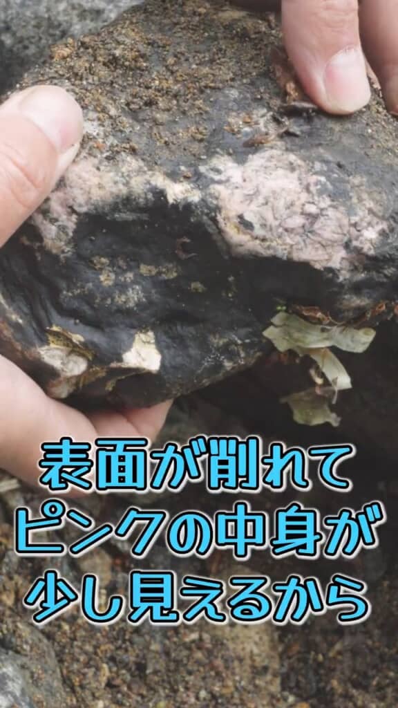 中身の一部がうかがえるピンク色。これはいけそう