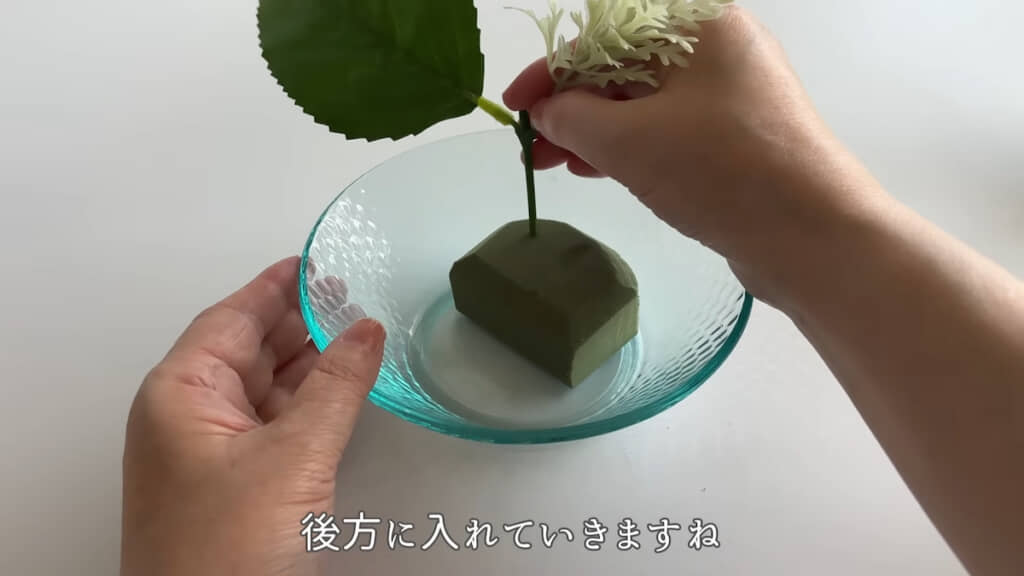 アジサイの葉から挿していく