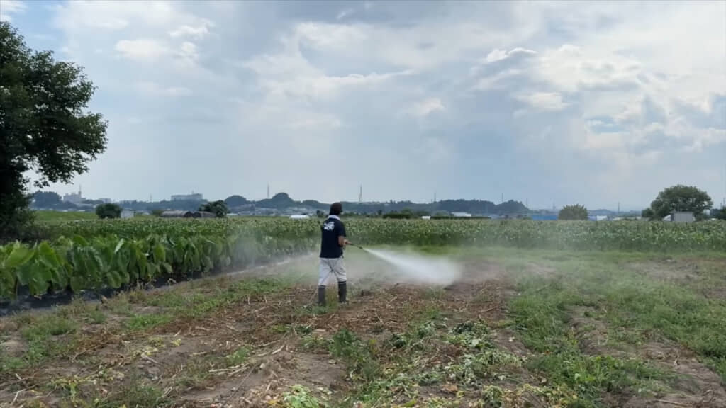 培養液を散布！