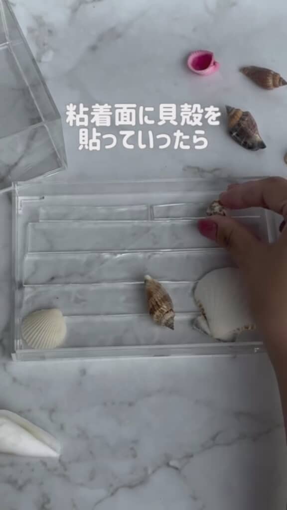 砂浜には貝殻を配置
