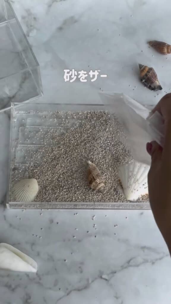 一気に砂浜らしくなった！