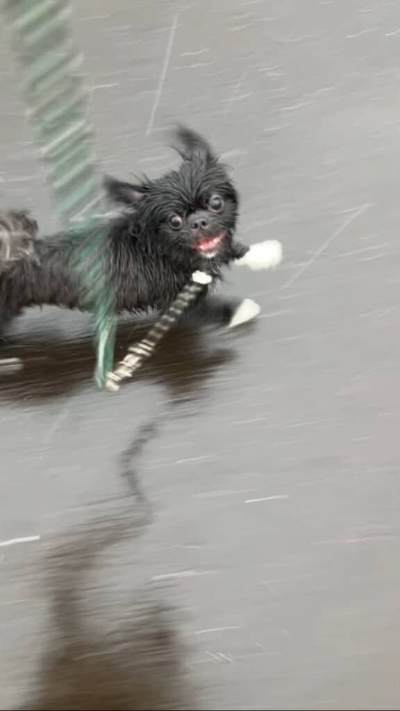 目見開きすぎ！