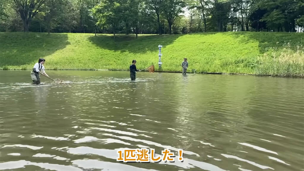 姿は見えるものの、逃げられてしまいました