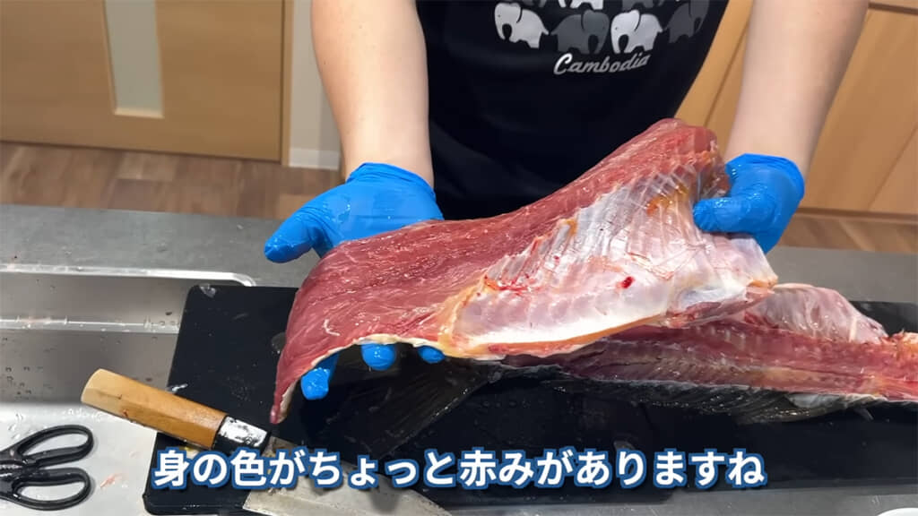 身が赤色であるところを見ると、やはり在来種のコイではないようです
