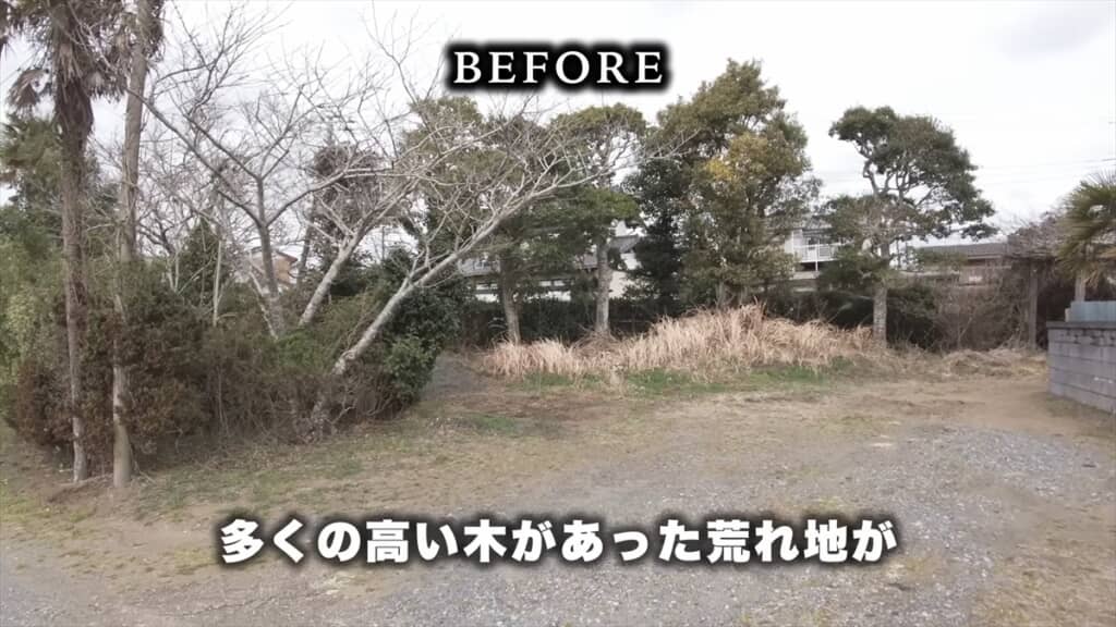 シルバー人材センターのおじいちゃんたちによる巨大木の伐採