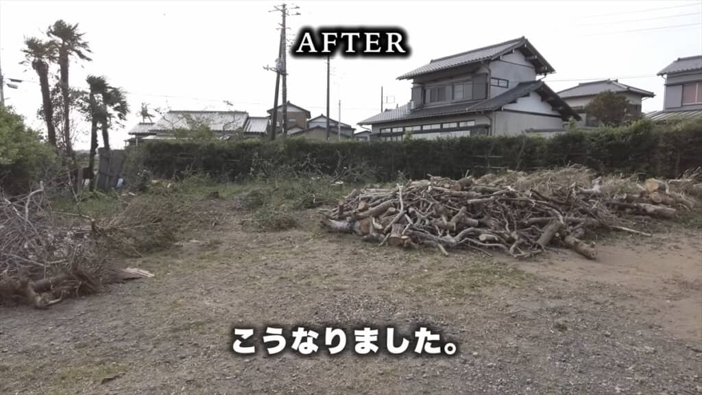シルバー人材センターのおじいちゃんたちによる巨大木の伐採