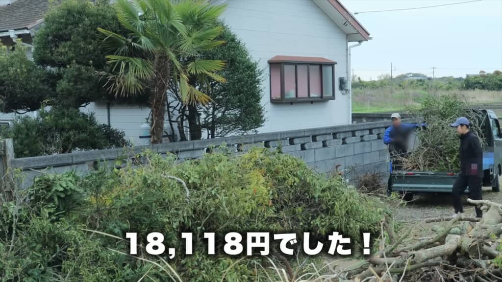 シルバー人材センターのおじいちゃんたちによる巨大木の伐採