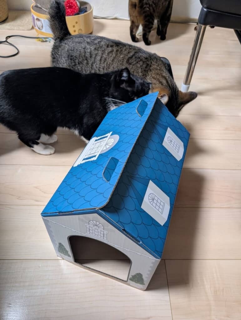 おうちが気になって仕方ない猫ちゃん達