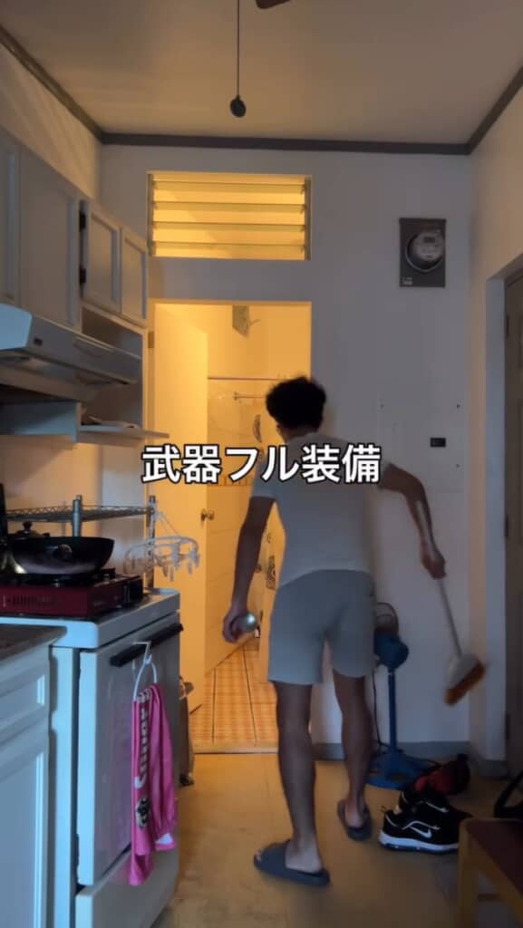 武器はほうきと殺虫スプレー