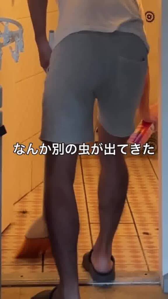 新たな敵現る!