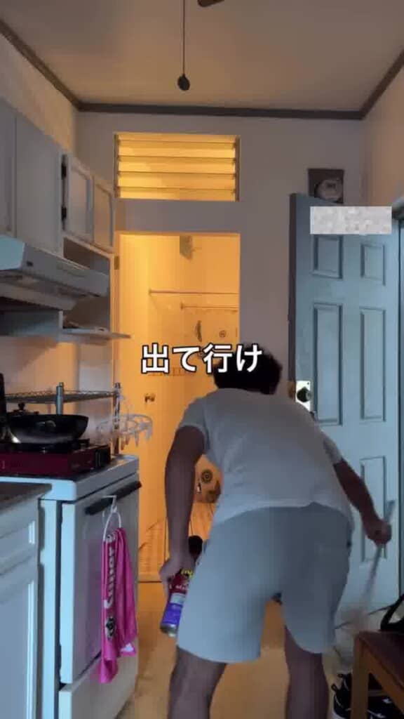 クモの追い出しに成功!