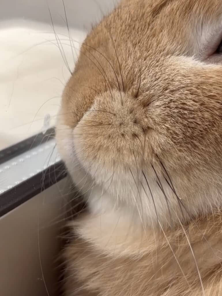 消えたり