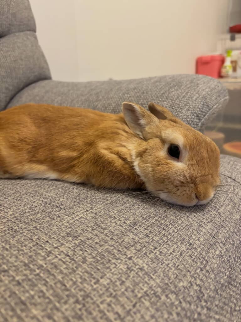 ぺた〜ん
