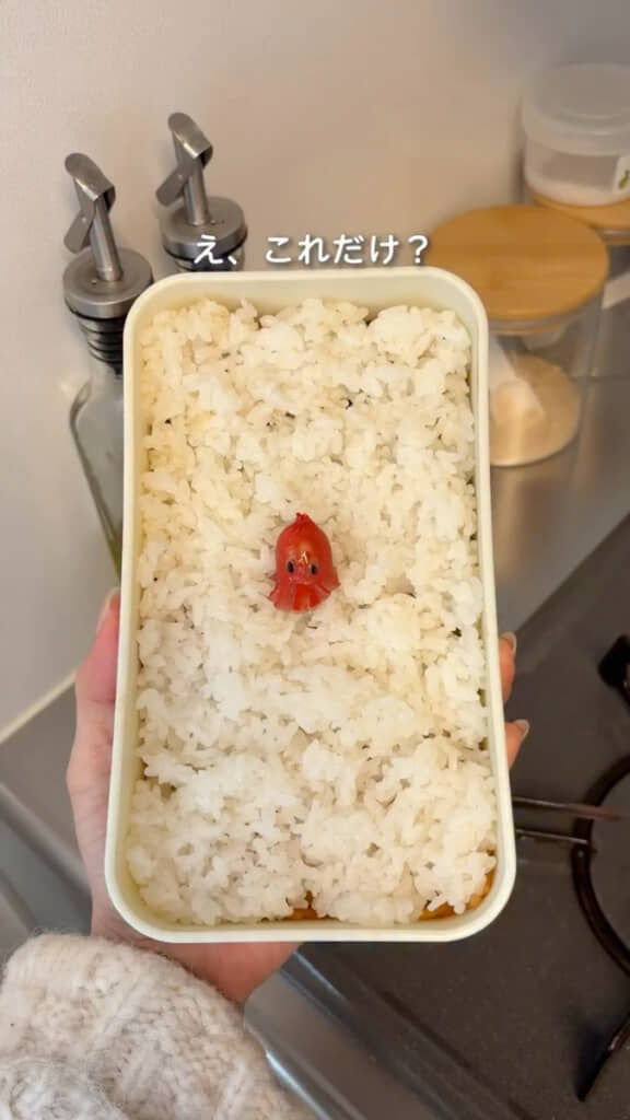 タコさん弁当の正体は……