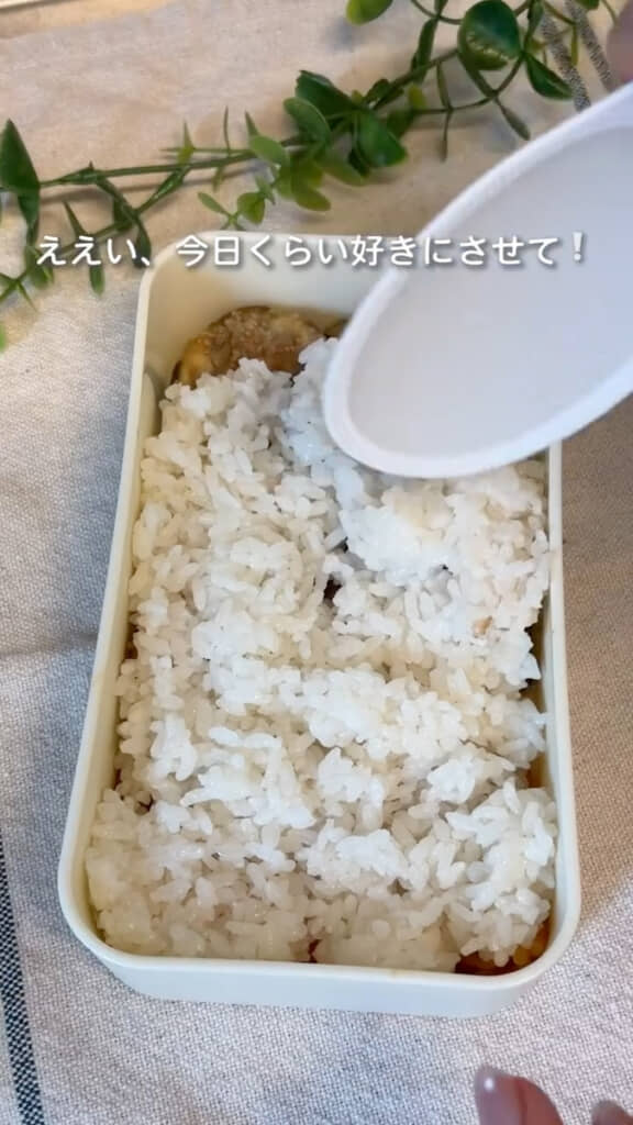 ごはんをのせておかずを隠す
