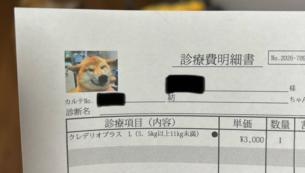柴犬さんの顔写真に注目