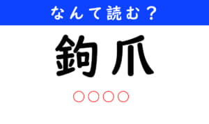 鉤爪