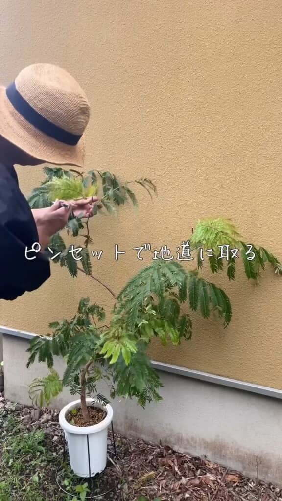 まずは地道に剥がします