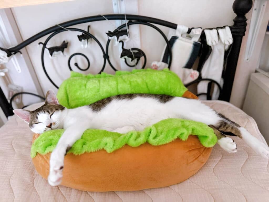 早速、サスケくんが使いこなしていました