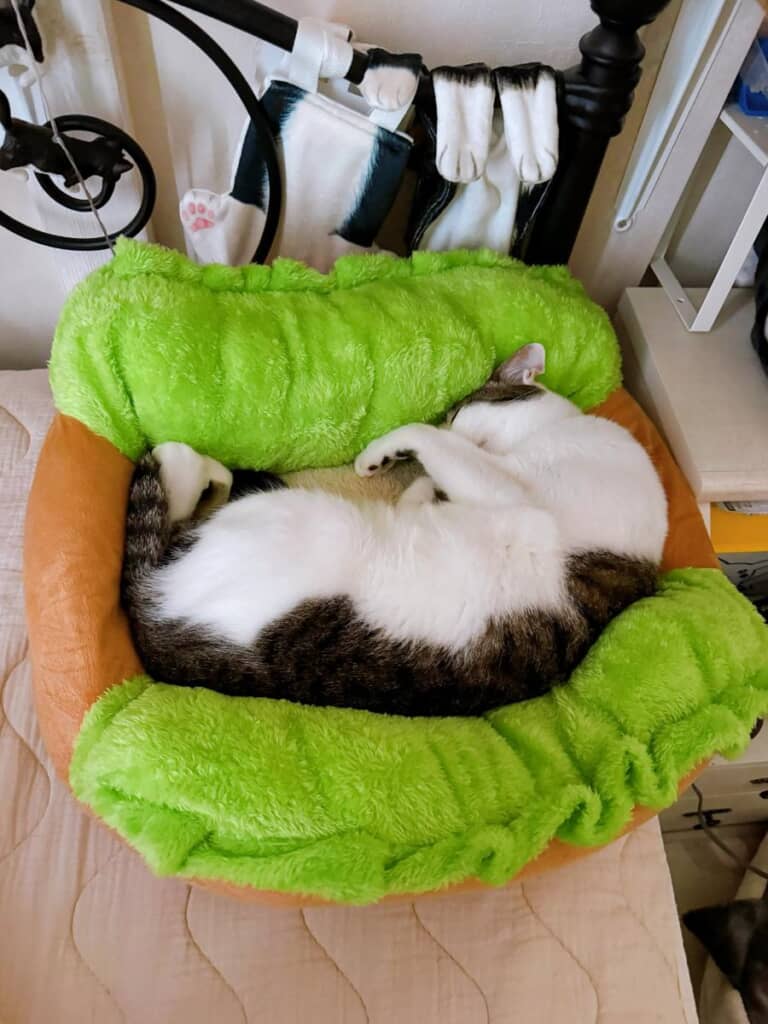 コッペパンの出来上がり！