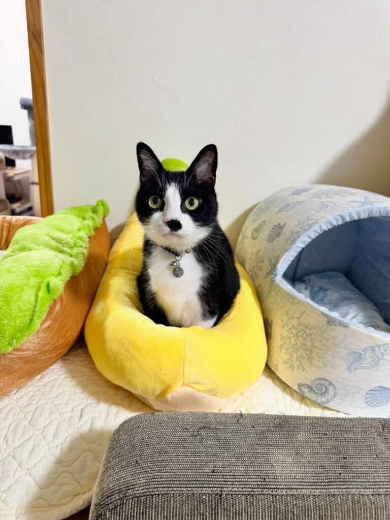 小太郎くんも気に入った様子