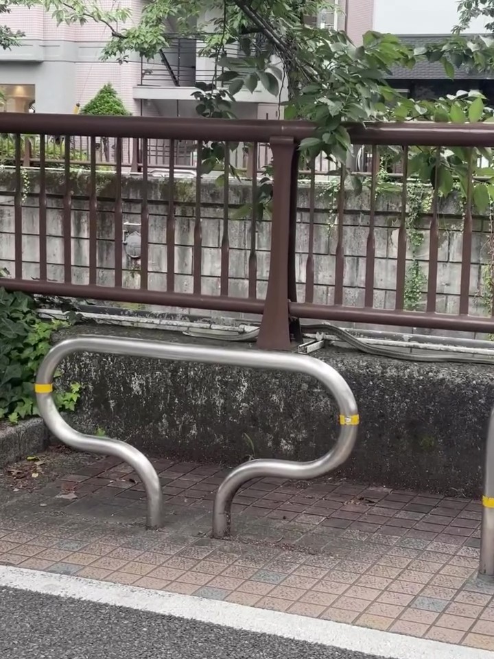 柵の隙間に大きなヘビ