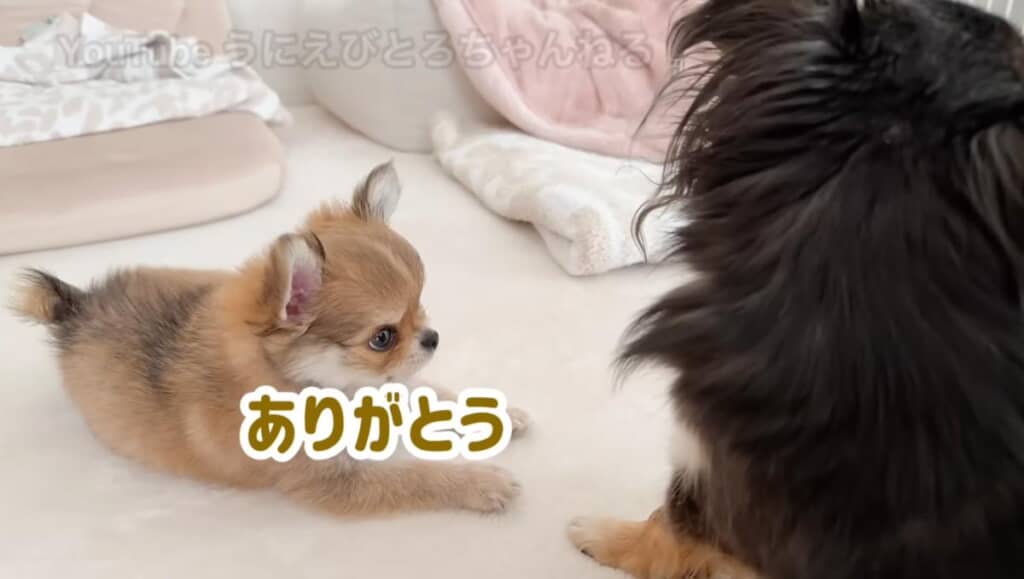 これで一安心