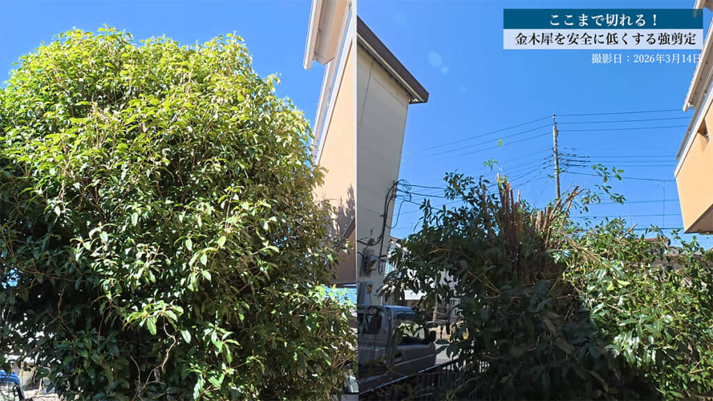 この段階でもかなりスッキリしています