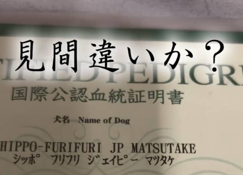 面白すぎる名前に疑う飼い主さん